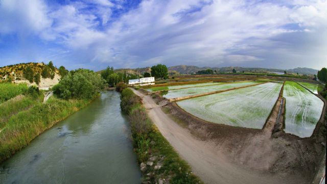 La Escuela de Piragüismo de Calasparra será escenario los próximos 19 y 20 de julio de la 4ª Copa de España de Slalom Olímpico y Kayak Cross - 1, Foto 1