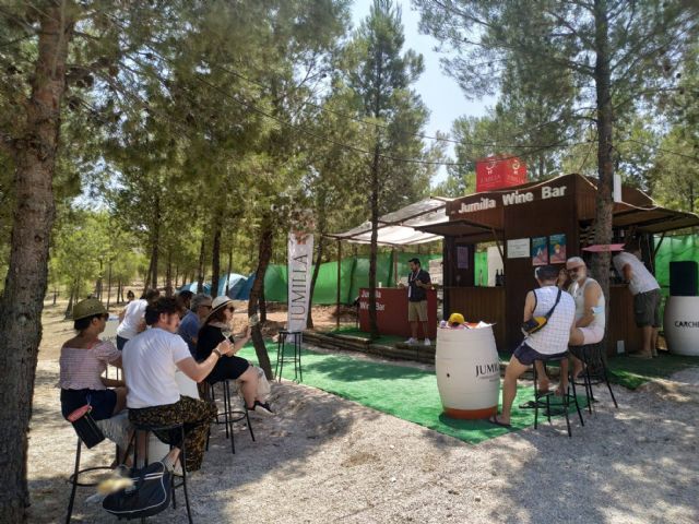 El festival leturalma beberá vinos dop Jumilla - 5, Foto 5