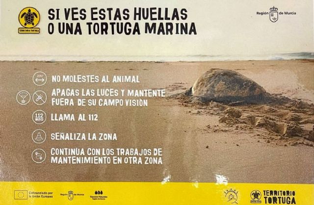 Jornada de formación para reforzar la capacidad de detección de rastros o tortugas marinas en el litoral lorquino - 5, Foto 5