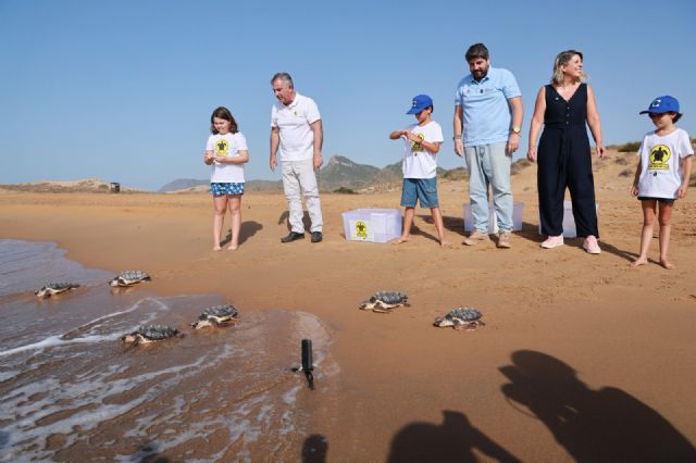 Casi 300 tortugas bobas han sido liberadas en la costa de la Región de Murcia desde 2019 - 3, Foto 3