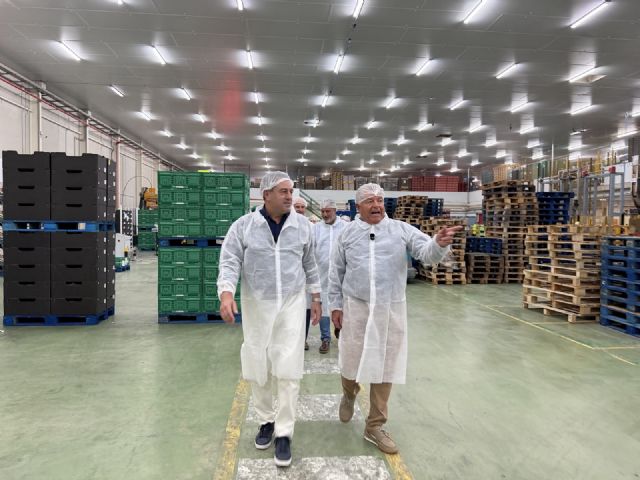La sandía de la Región supera los 120 millones de euros en exportaciones y consolida su liderazgo en los mercados europeos - 2, Foto 2
