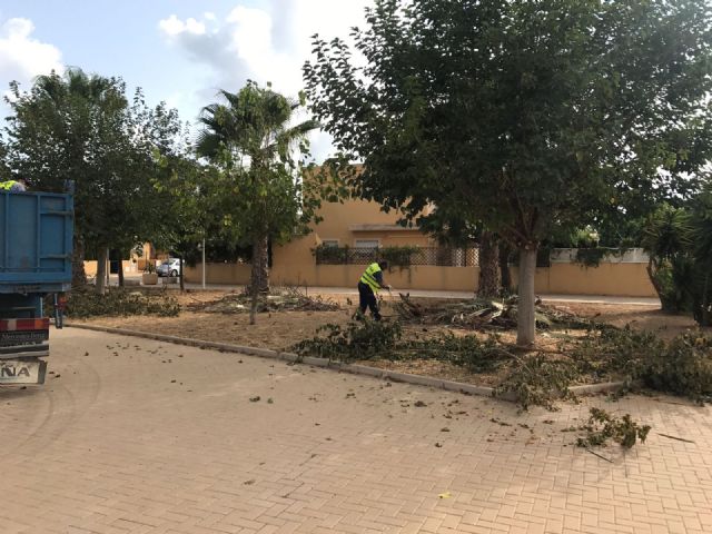 Desarrollo Sostenible continua con las labores de poda en el arbolado del termino municipal - 1, Foto 1