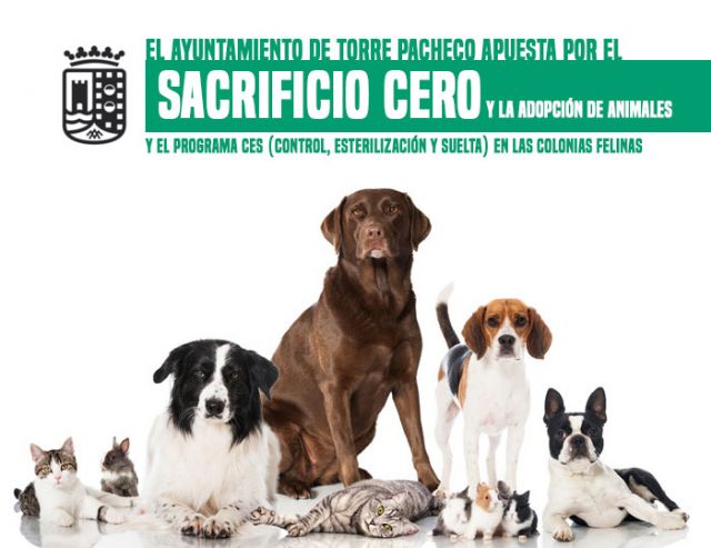 El Ayuntamiento apuesta por el sacrificio cero de animales, el fomento de la adopción y el control de las colonias felinas - 1, Foto 1