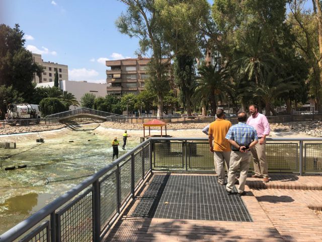 El Ayuntamiento realiza una limpieza exhaustiva de los principales lagos de Murcia. - 3, Foto 3