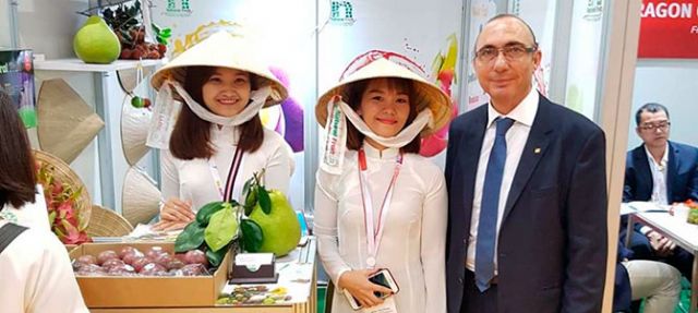 Gruventa “calienta motores” para su participación en Asia Fruit Logistica 2019 en Hong Kong - 1, Foto 1