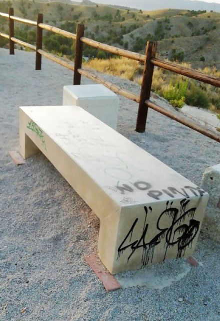 El Ayuntamiento torreño reclama conciencia cívica ante los últimos actos vandálicos - 1, Foto 1