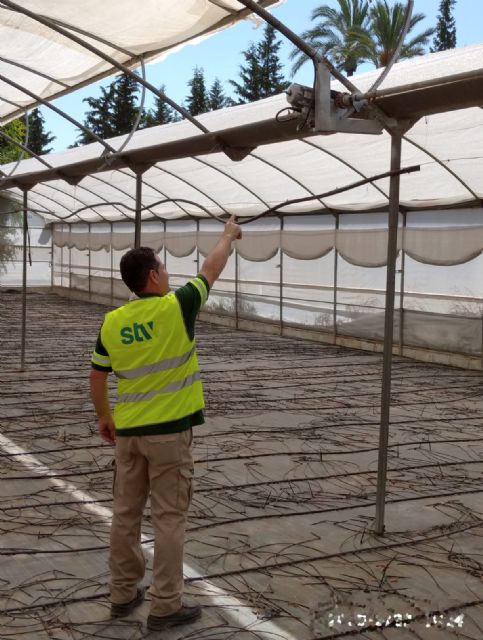 Un nuevo sistema smart se encarga del control climático de los viveros municipales - 1, Foto 1