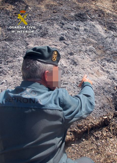 La Guardia Civil investiga al presunto autor del incendio de 40 hectáreas de la Sierra de La Almenara - 1, Foto 1