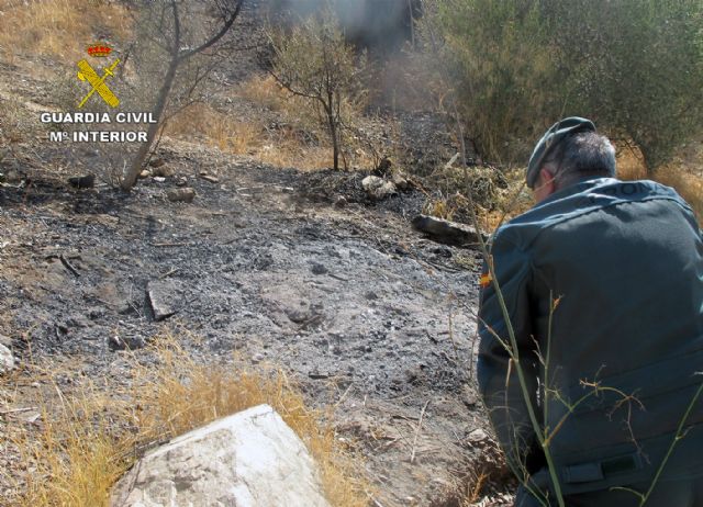 La Guardia Civil investiga al presunto autor del incendio de 40 hectáreas de la Sierra de La Almenara - 2, Foto 2