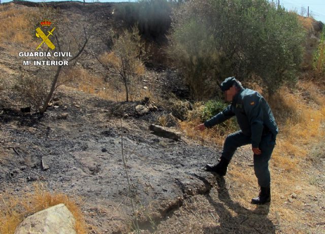 La Guardia Civil investiga al presunto autor del incendio de 40 hectáreas de la Sierra de La Almenara - 3, Foto 3