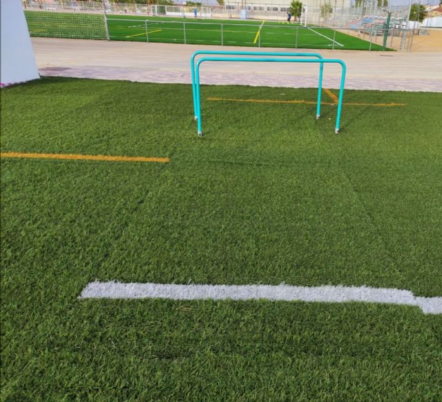 El PP torreño se hace eco de las deficiencias y quejas que padecen de la Concejalía de Deportes - 3, Foto 3