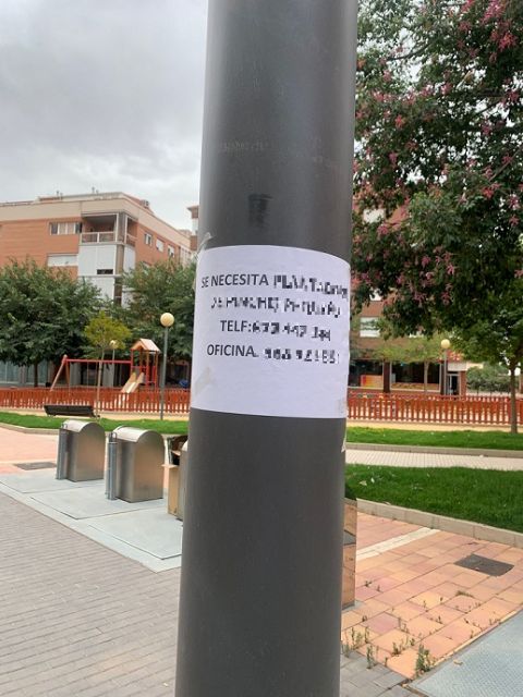 La Policía Local de Lorca denuncia a una empresa de trabajo temporal (ETT) por colocar carteles en lugares no autorizados incumpliendo la ordenanza municipal de Limpieza Viaria - 1, Foto 1