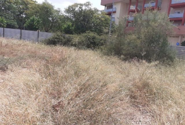 Una nueva ordenanza regula la limpieza de los solares en Alcantarilla - 1, Foto 1