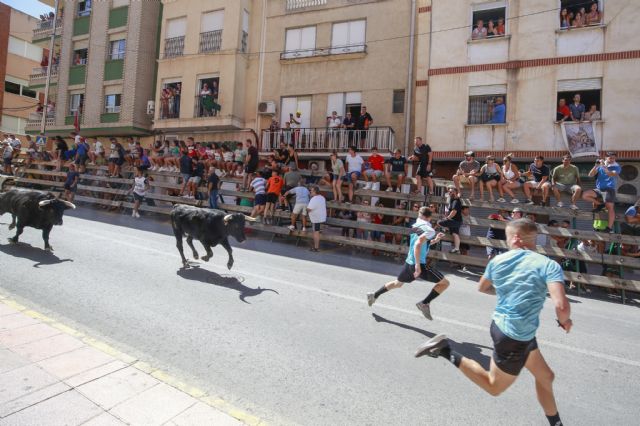El tercer encierro se convierte en el más rápido de las Fiestas Patronales de Blanca 2023 - 3, Foto 3