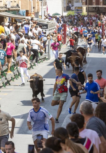 Un último encierro con los astados de Chamaco rápido y limpio en las Fiestas Patronales de Blanca 2025 - 1, Foto 1