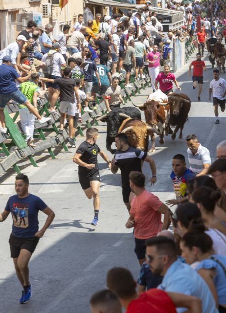 Un último encierro con los astados de Chamaco rápido y limpio en las Fiestas Patronales de Blanca 2025 - 2, Foto 2