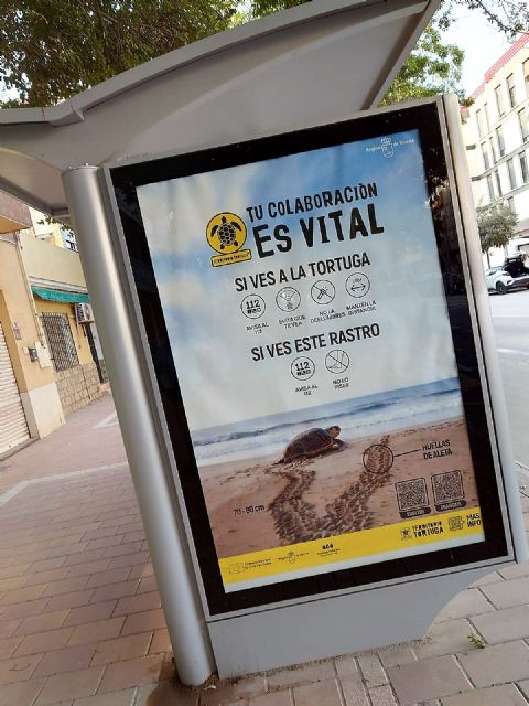 IU reclama a la concejala de Urbanismo y Medio Ambiente, que extienda su preocupación por las tortugas bobas, a la protección efectiva del único Parque Natural que tenemos en Lorca - 2, Foto 2