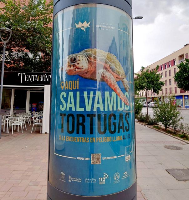 IU reclama a la concejala de Urbanismo y Medio Ambiente, que extienda su preocupación por las tortugas bobas, a la protección efectiva del único Parque Natural que tenemos en Lorca - 3, Foto 3