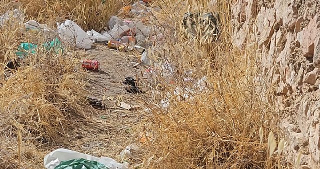 El PSOE denuncia la situaci�n insostenible de suciedad en el parque de Los �ngeles