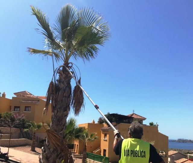 Desarrollo Sostenible ejecuta labores de adecuacion de jardines en La Azohia e Isla Plana - 1, Foto 1