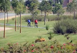 Ciudadanos Águilas pide usar parte de los fondos edusi para crear una gran zona verde en Águilas - 1, Foto 1