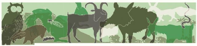 Acta del jurado del I concurso de pintura mural / grafiti, Foto 8