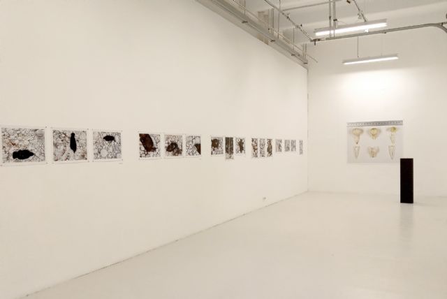 El Centro Párraga acoge una muestra de Fernando Vázquez sobre naturalezas muertas - 1, Foto 1