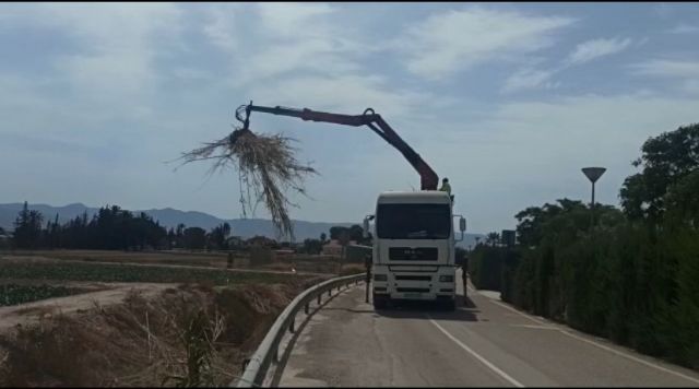 El Ayuntamiento de Lorca lleva a cabo la limpieza del tramo urbano de la rambla Ylorci situada en la pedanía de Tercia - 1, Foto 1