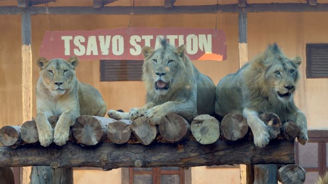 Terra Natura Murcia cierra su mejor verano tras recibir a 132.000 personas