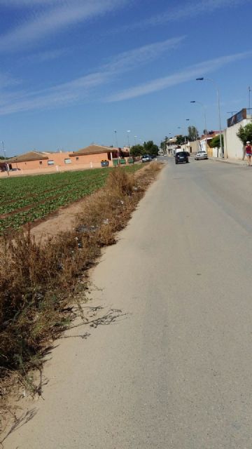 C´s llevará al Pleno el abandono de los aliviaderos y cauces del Trasvase y de los arcenes en una carretera de Pozo Estrecho - 3, Foto 3