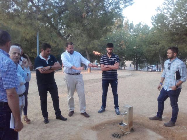 El Ayuntamiento realizará distintos trabajos de mejora de las zonas verdes de Torreagüera - 2, Foto 2