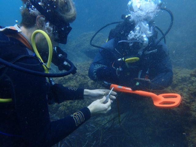Medio Ambiente participa en una jornada de limpieza de fondos submarinos en Cabo de Palos para retirar plomos de pesca deportiva - 1, Foto 1