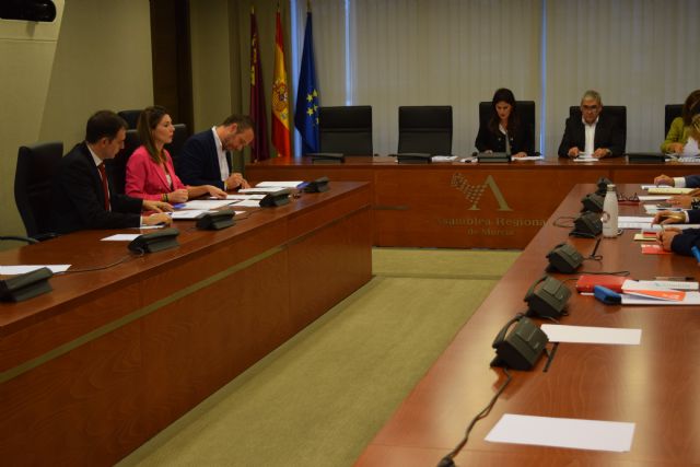 La Asamblea acuerda solicitar la puesta en marcha de un registro mercantil en Cartagena - 1, Foto 1