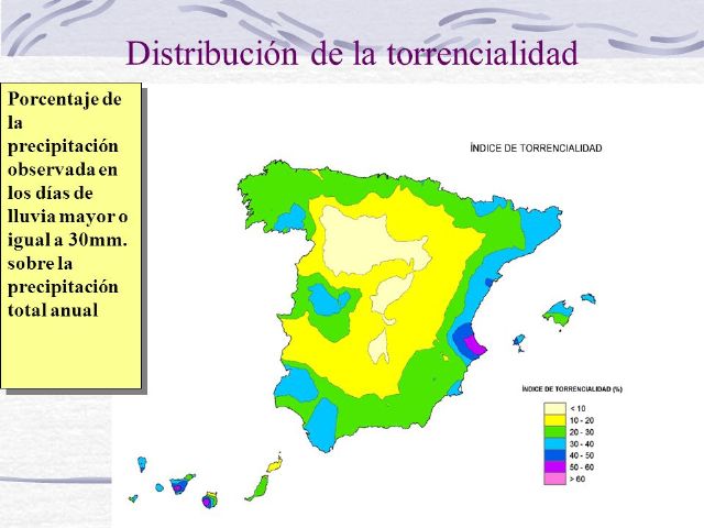 AMETSE pide prudencia a la hora de valorar el impacto de la DANA sobre la fauna del Mar Menor - 1, Foto 1
