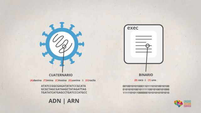 Ciencia en Corto de la UMU dedica su nuevo vídeo a los virus - 1, Foto 1