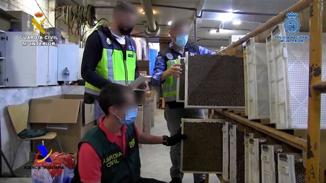 Desmanteladas tres fábricas ilegales de tabaco con capacidad para producir más de 18.000 cigarrillos por minuto - 5, Foto 5