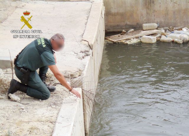 La Guardia Civil rescata a un jabalí que había caído a un canal en Lorca - 3, Foto 3