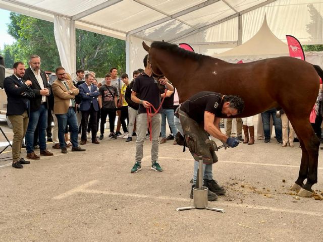 FERICAB 2022 se celebra con récord de yeguadas y 250 caballos que participan tanto en los concursos como en el espectáculo ecuestre de los días 14 y 15 de octubre - 1, Foto 1