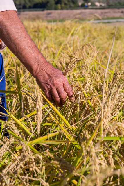 Visita y ruta guiada la siega  paraje del esparragal - 4, Foto 4
