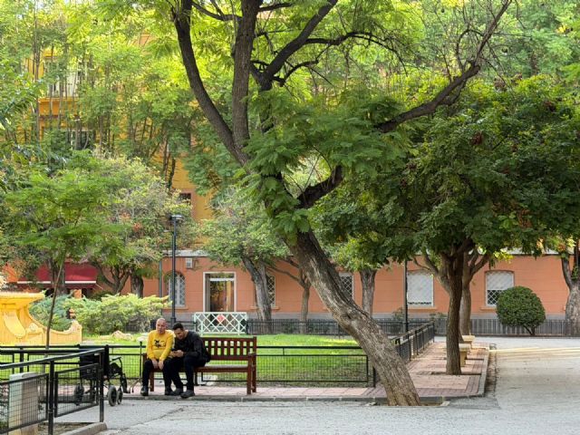 El PSOE exige un plan urgente de revisión del arbolado y la licitación inmediata del contrato de mantenimiento de jardines - 2, Foto 2