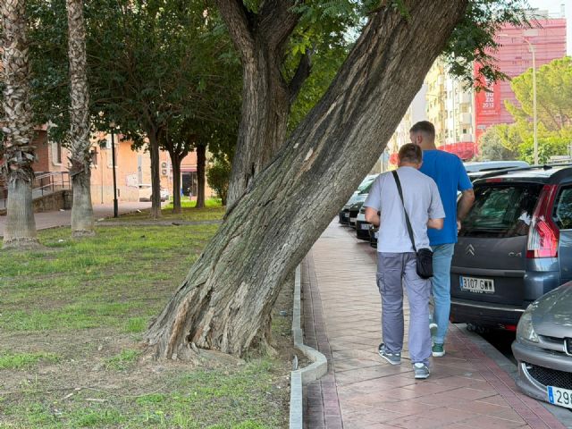 El PSOE exige un plan urgente de revisión del arbolado y la licitación inmediata del contrato de mantenimiento de jardines - 3, Foto 3