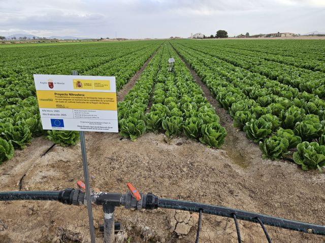 Las restricciones a la materia orgánica provocan pérdida de fertilidad del suelo - 2, Foto 2
