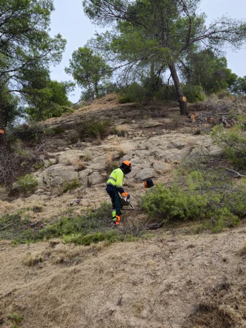 Los parques forestales de Murcia se ponen a punto con los trabajos de prevención de incendios - 2, Foto 2