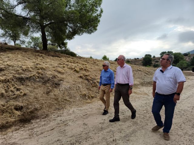 Los parques forestales de Murcia se ponen a punto con los trabajos de prevención de incendios - 3, Foto 3