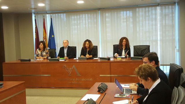 Podemos pide la puesta en marcha del Observatorio de Igualdad para que pueda gestionar un banco de datos específico de mujer - 1, Foto 1