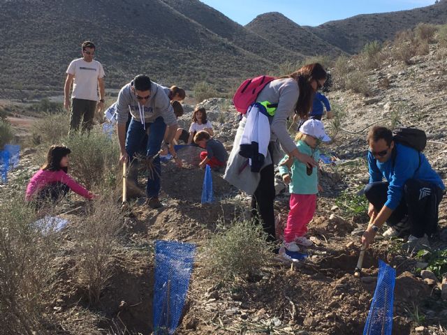 Un centenar de trabajadores de SABIC participan en la replantación del Garbancillo de Tallante - 2, Foto 2