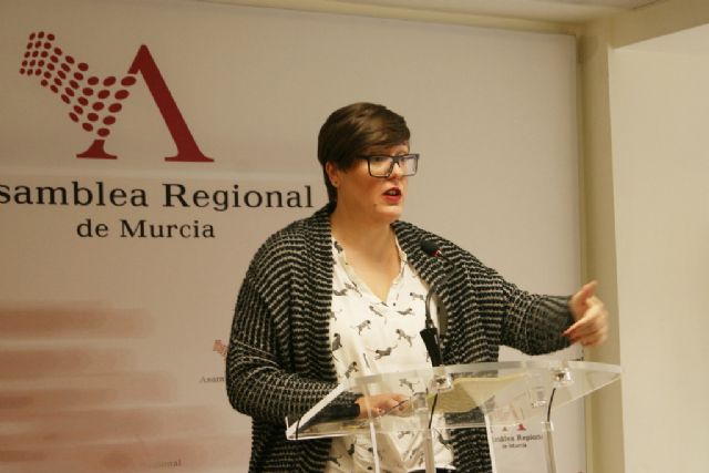 El PSOE denuncia que el Plan de Gobierno Abierto del Gobierno Regional demuestra el incumplimiento de la Ley de Transparencia - 1, Foto 1