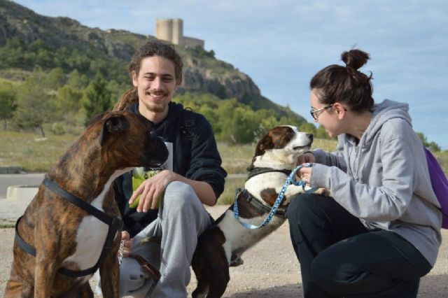 La protectora de animales de Jumilla cumple 10 años - 1, Foto 1