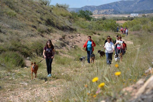 La protectora de animales de Jumilla cumple 10 años - 2, Foto 2