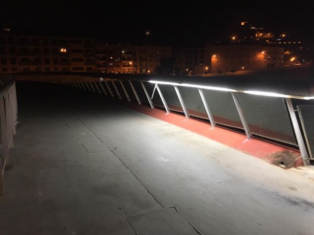 PSOE: El PP desoye día tras día las quejas de los usuarios de la Pasarela Miguel Navarro por su vergonzoso estado de degradación y abandono - 3, Foto 3